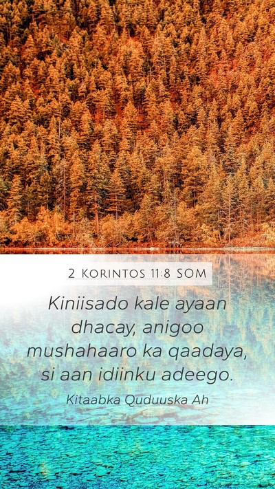 2 Korintos 11:8 SOM Mobile Phone Wallpaper - Kiniisado kale ayaan dhacay, anigoo mushahaaro ka - Mobile Bible Verse Wallpaper