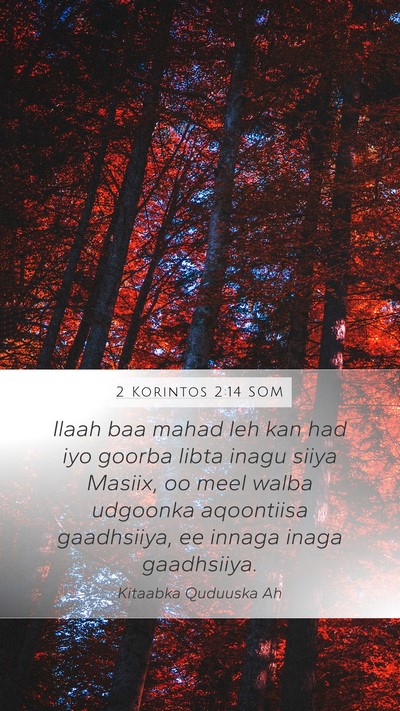 2 Korintos 2:14 SOM Bible Verse Image