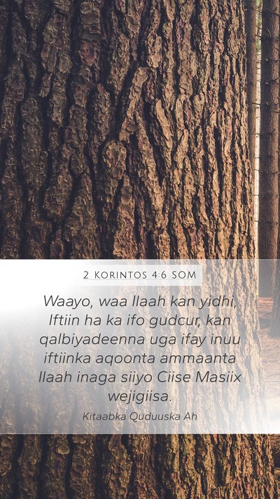 2 Korintos 4:6 SOM Bible Verse Image