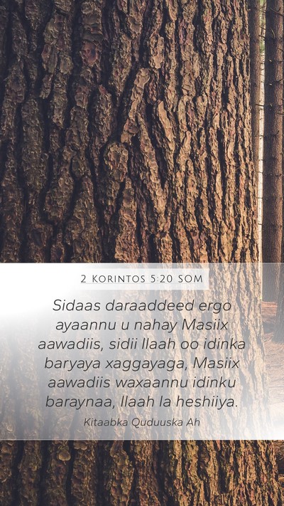 2 Korintos 5:20 SOM Bible Verse Image