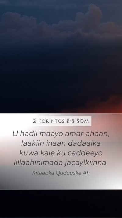 2 Korintos 8:8 SOM Bible Verse Image