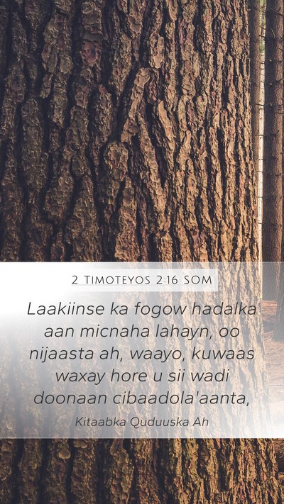 2 Timoteyos 2:16 SOM Bible Verse Image