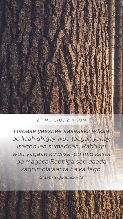 2 Timoteyos 2:19 SOM Bible Verse Image