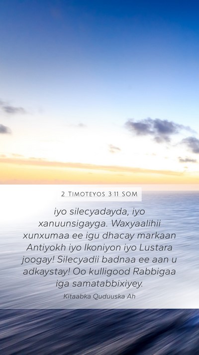 2 Timoteyos 3:11 SOM Bible Verse Image