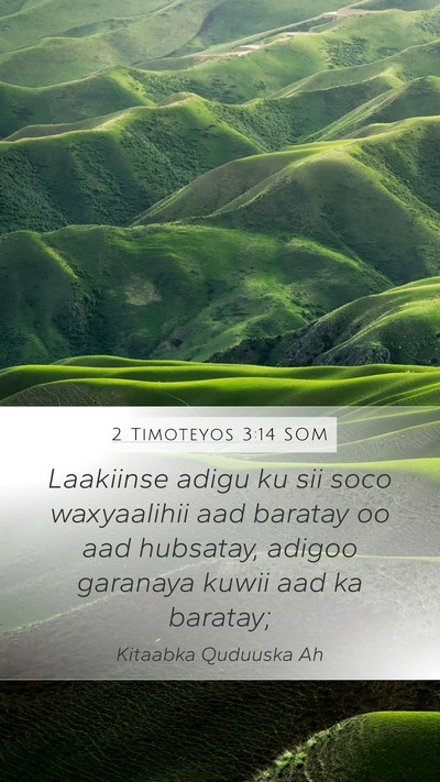 2 Timoteyos 3:14 SOM Bible Verse Image