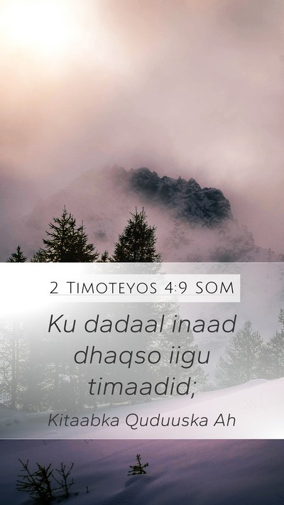 2 Timoteyos 4:9 SOM Bible Verse Image