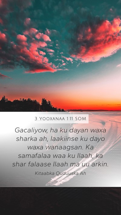 3 Yooxanaa 1:11 SOM Bible Verse Image