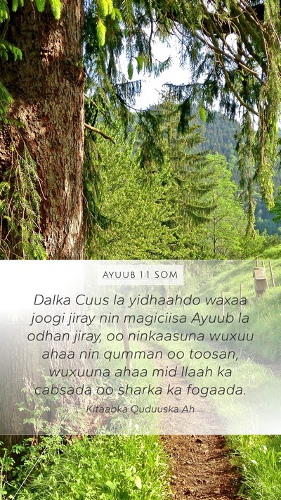 Ayuub 1:1 SOM Bible Verse Image