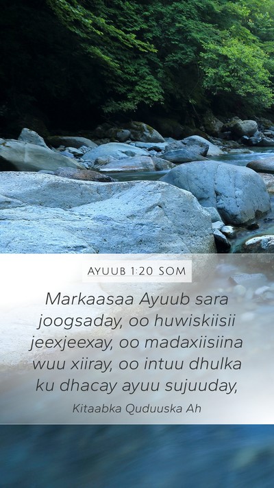 Ayuub 1:20 SOM Bible Verse Image