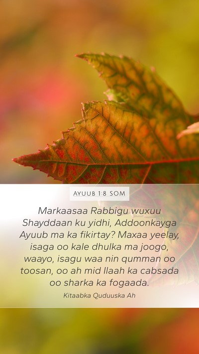 Ayuub 1:8 SOM Bible Verse Image
