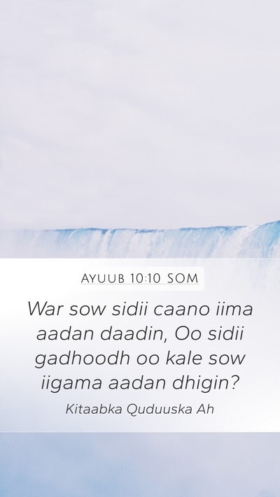 Ayuub 10:10 SOM Bible Verse Image