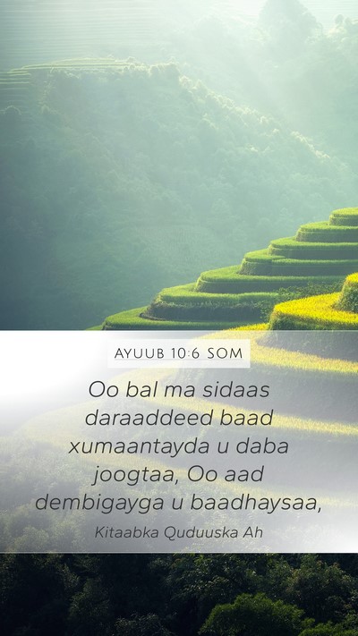 Ayuub 10:6 SOM Mobile Phone Wallpaper - Oo bal ma sidaas daraaddeed baad xumaantayda u - Mobile Bible Verse Wallpaper