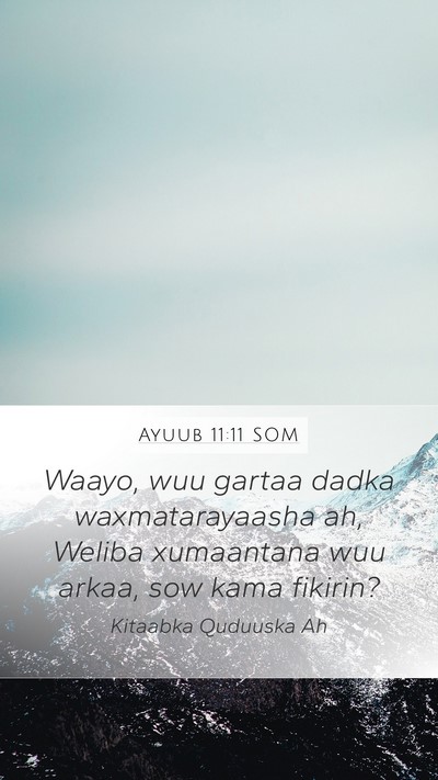 Ayuub 11:11 SOM Bible Verse Image