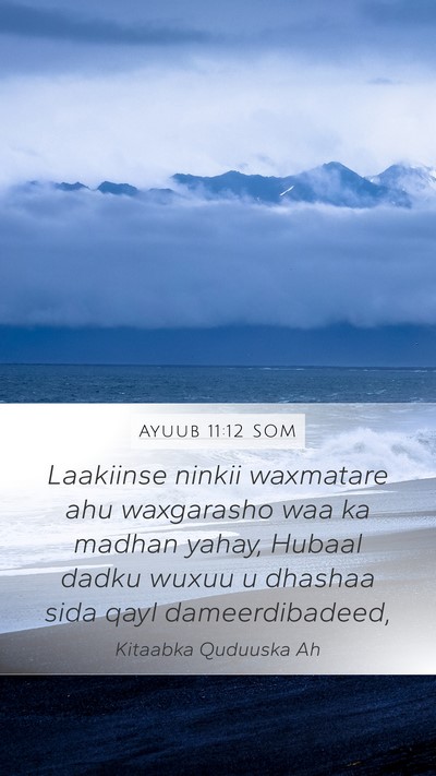 Ayuub 11:12 SOM Bible Verse Image