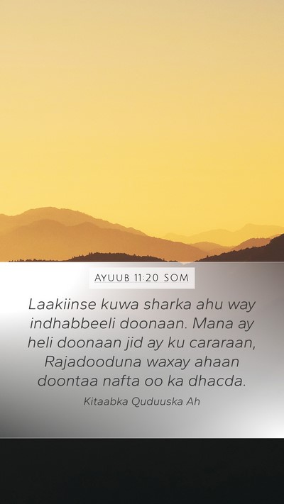 Ayuub 11:20 SOM Bible Verse Image