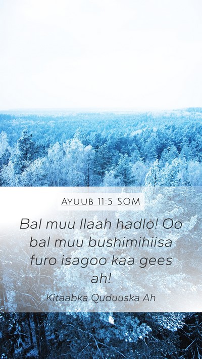 Ayuub 11:5 SOM Bible Verse Image