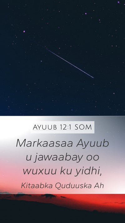 Ayuub 12:1 SOM Mobile Phone Wallpaper - Markaasaa Ayuub u jawaabay oo wuxuu ku - Mobile Bible Verse Wallpaper