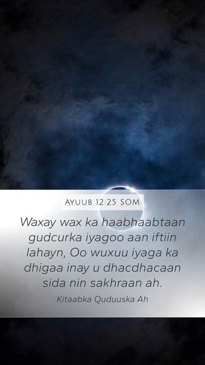 Ayuub 12:25 SOM Bible Verse Image