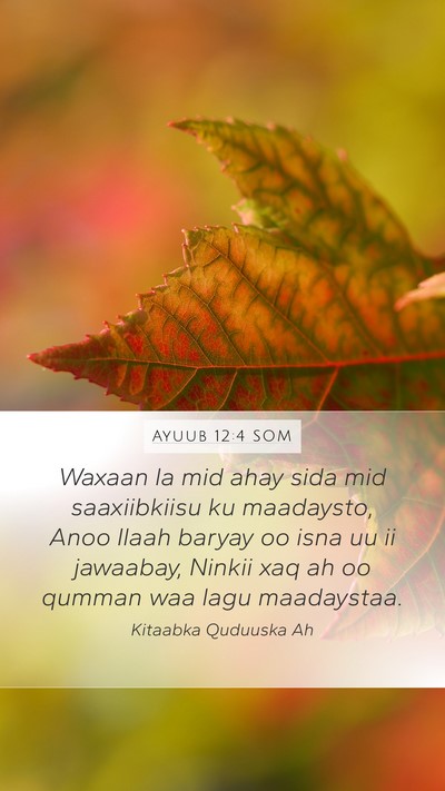 Ayuub 12:4 SOM Bible Verse Image