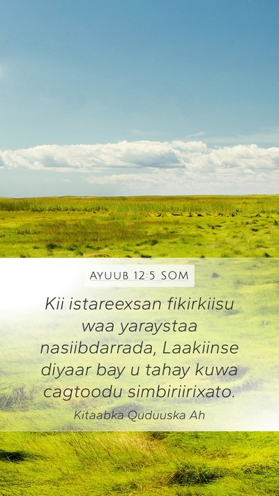 Ayuub 12:5 SOM Bible Verse Image