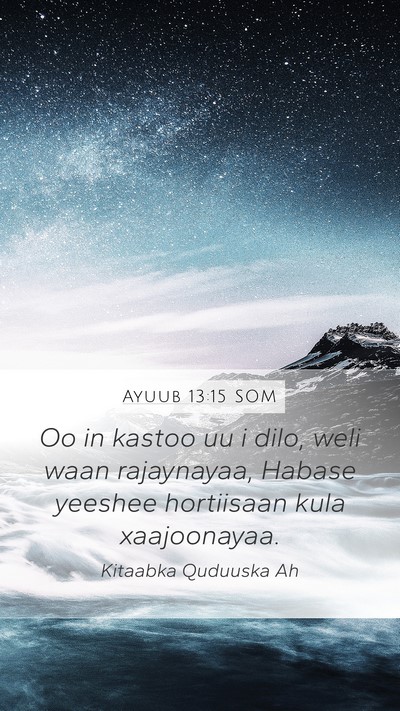 Ayuub 13:15 SOM Bible Verse Image