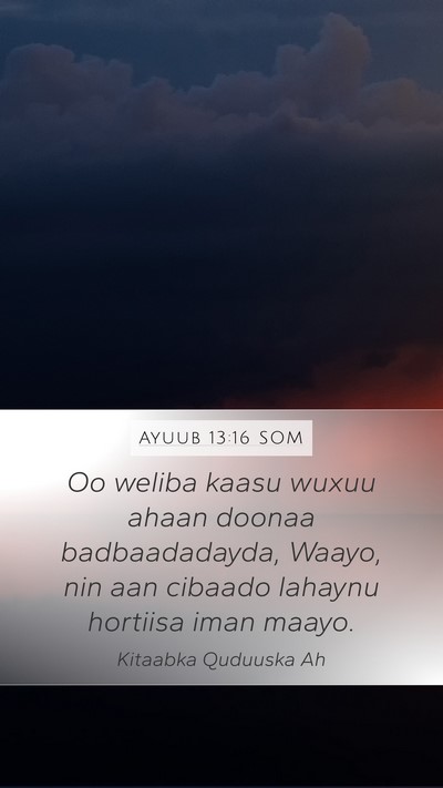 Ayuub 13:16 SOM Bible Verse Image