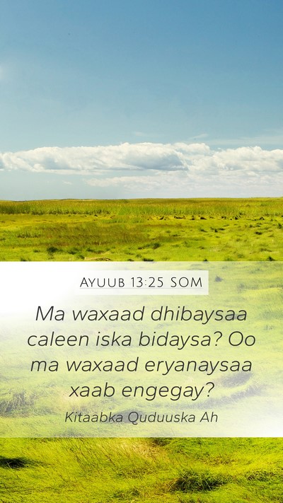 Ayuub 13:25 SOM Bible Verse Image