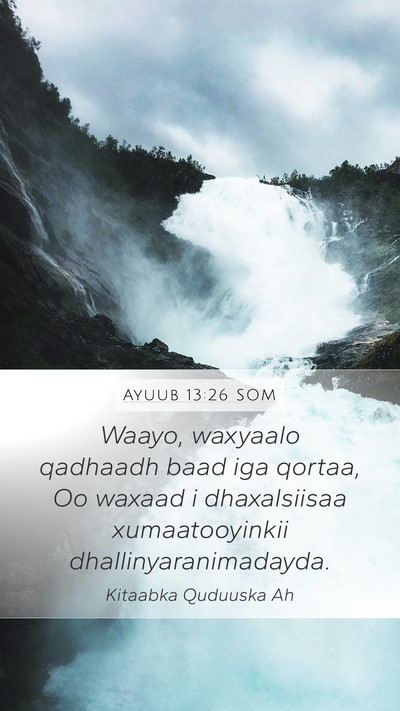 Ayuub 13:26 SOM Bible Verse Image