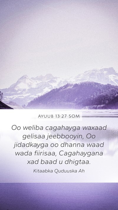 Ayuub 13:27 SOM Bible Verse Image