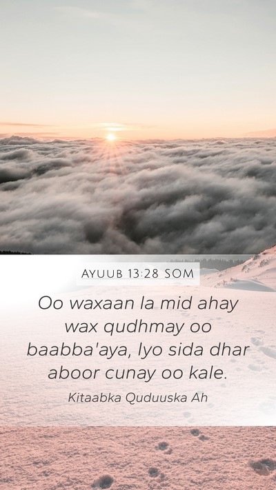 Ayuub 13:28 SOM Bible Verse Image