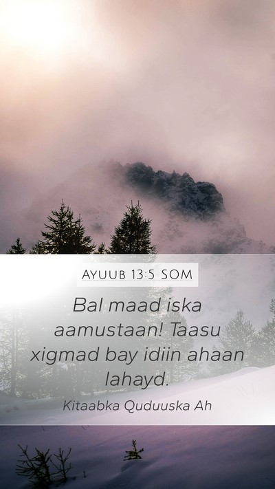 Ayuub 13:5 SOM Bible Verse Image