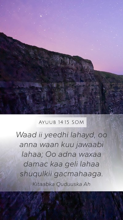 Ayuub 14:15 SOM Bible Verse Image