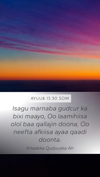Ayuub 15:30 SOM Bible Verse Image