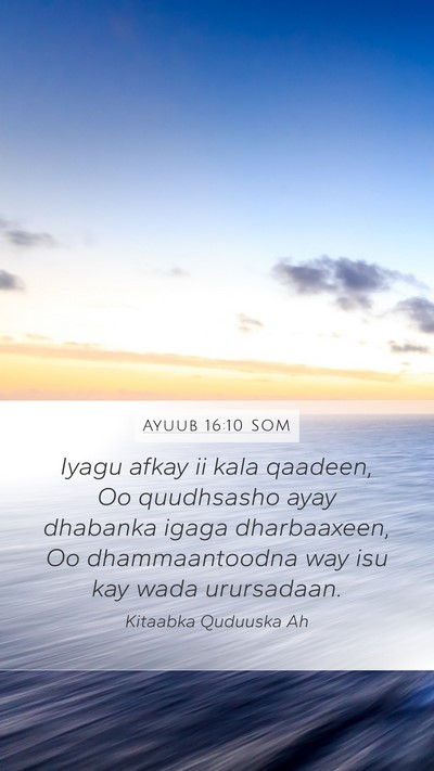 Ayuub 16:10 SOM Bible Verse Image