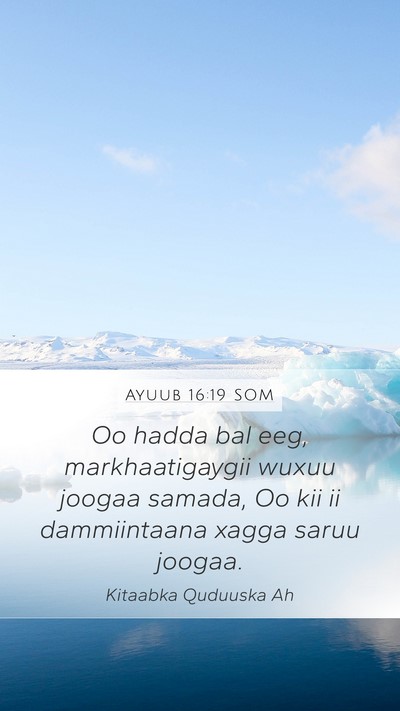 Ayuub 16:19 SOM Bible Verse Image