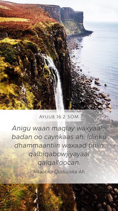Ayuub 16:2 SOM Bible Verse Image
