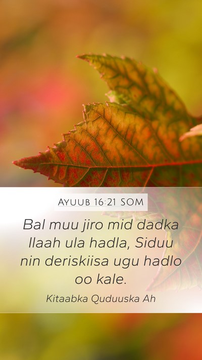 Ayuub 16:21 SOM Bible Verse Image