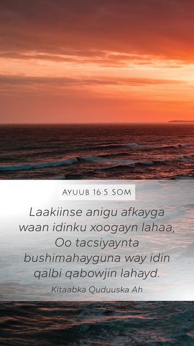 Ayuub 16:5 SOM Bible Verse Image