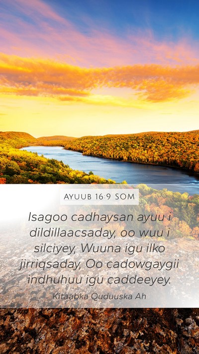 Ayuub 16:9 SOM Bible Verse Image