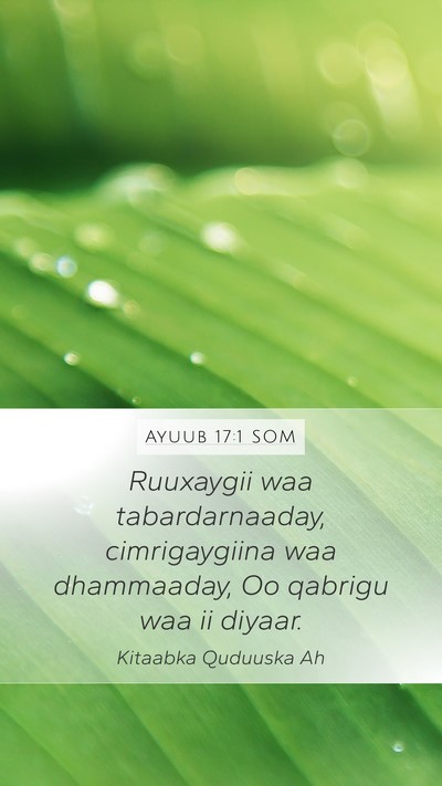 Ayuub 17:1 SOM Bible Verse Image