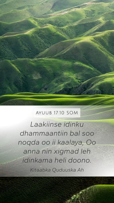 Ayuub 17:10 SOM Bible Verse Image