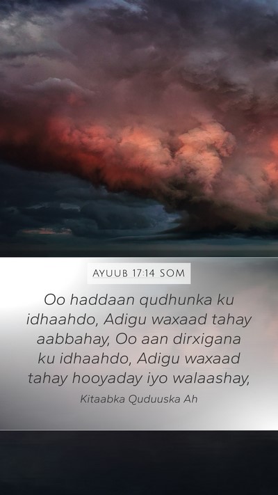 Ayuub 17:14 SOM Bible Verse Image