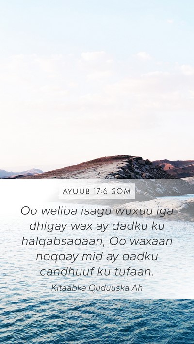 Ayuub 17:6 SOM Bible Verse Image