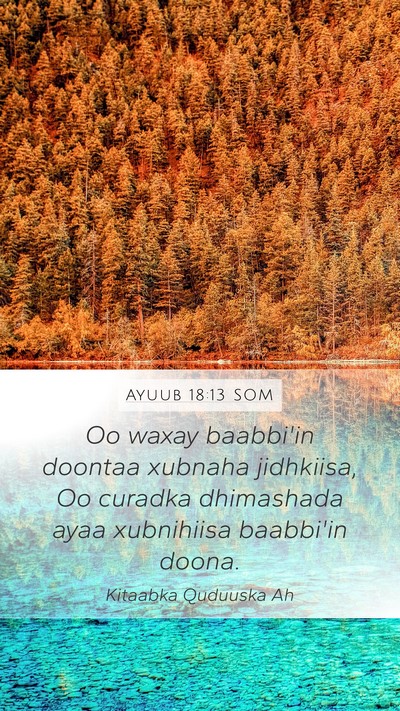Ayuub 18:13 SOM Bible Verse Image