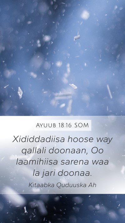 Ayuub 18:16 SOM Bible Verse Image