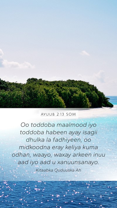 Ayuub 2:13 SOM Bible Verse Image