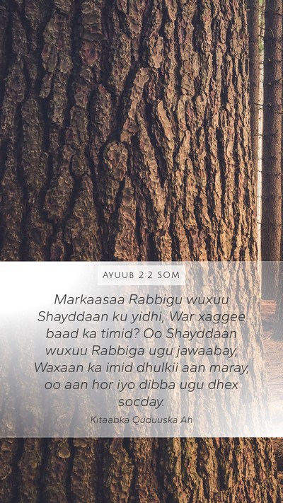 Ayuub 2:2 SOM Bible Verse Image