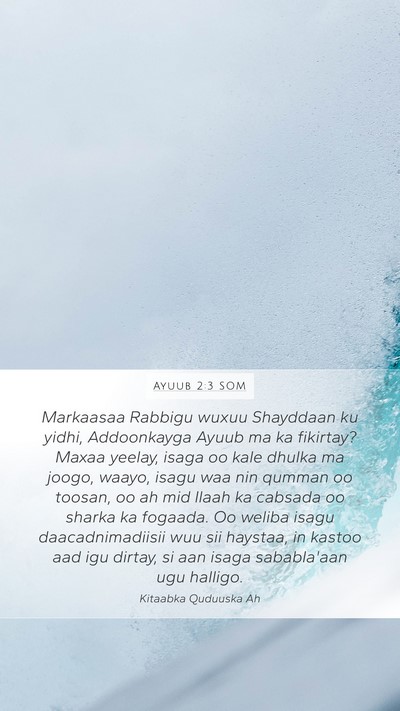 Ayuub 2:3 SOM Bible Verse Image