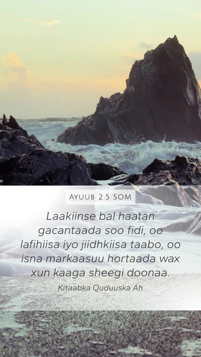 Ayuub 2:5 SOM Bible Verse Image