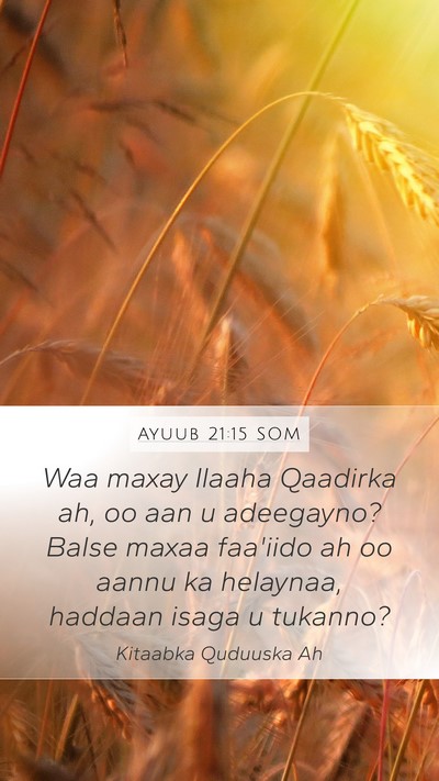 Ayuub 21:15 SOM Bible Verse Image
